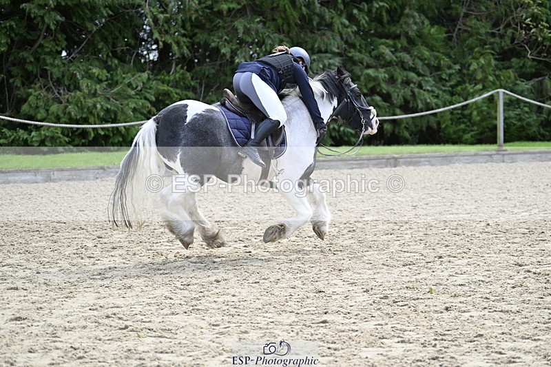 251005A-121450-03676 - Cls 08 Mini 70-75cm