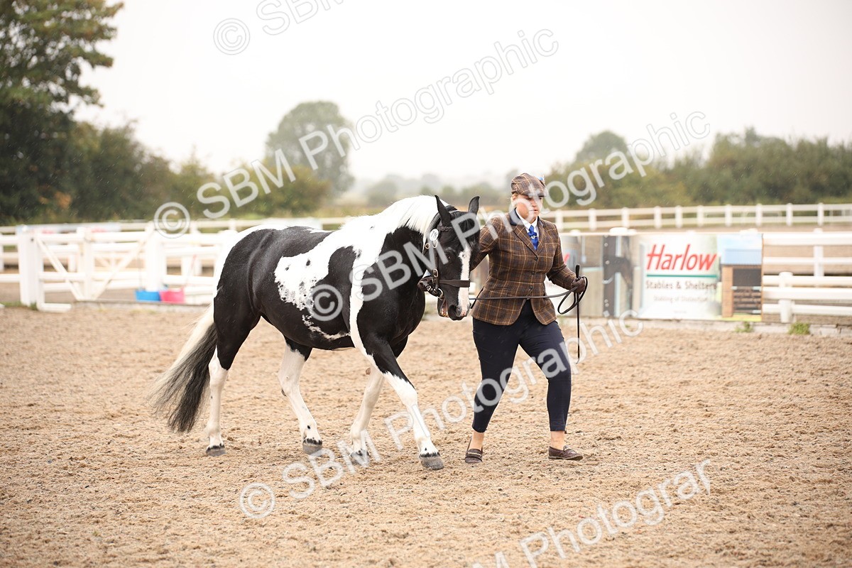 SBM_20206 - Class 703 - IH  Coloured