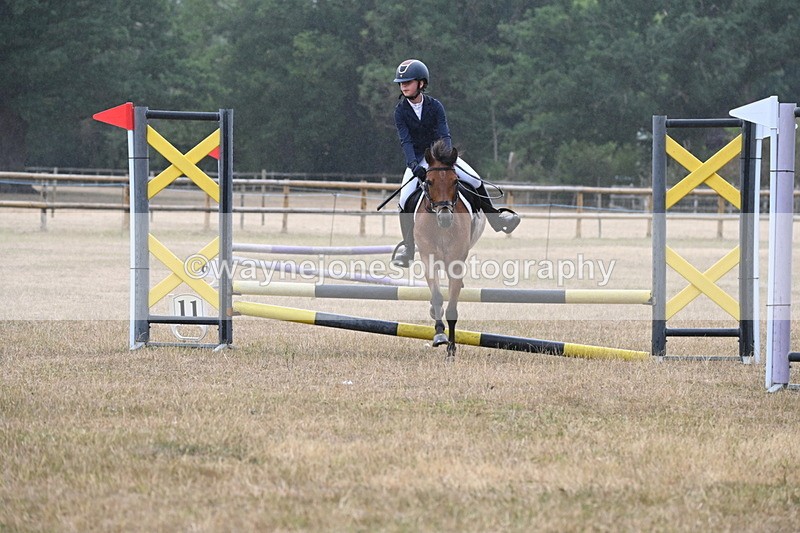 WJ6_0015 - Class 13 Novice Jumping 60cm