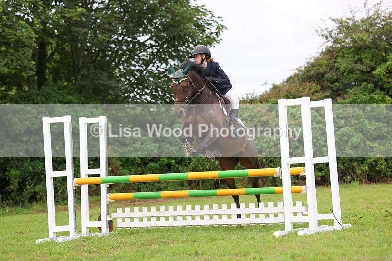 3E7A7020 - Class 5: Senior British Novice/90cm open