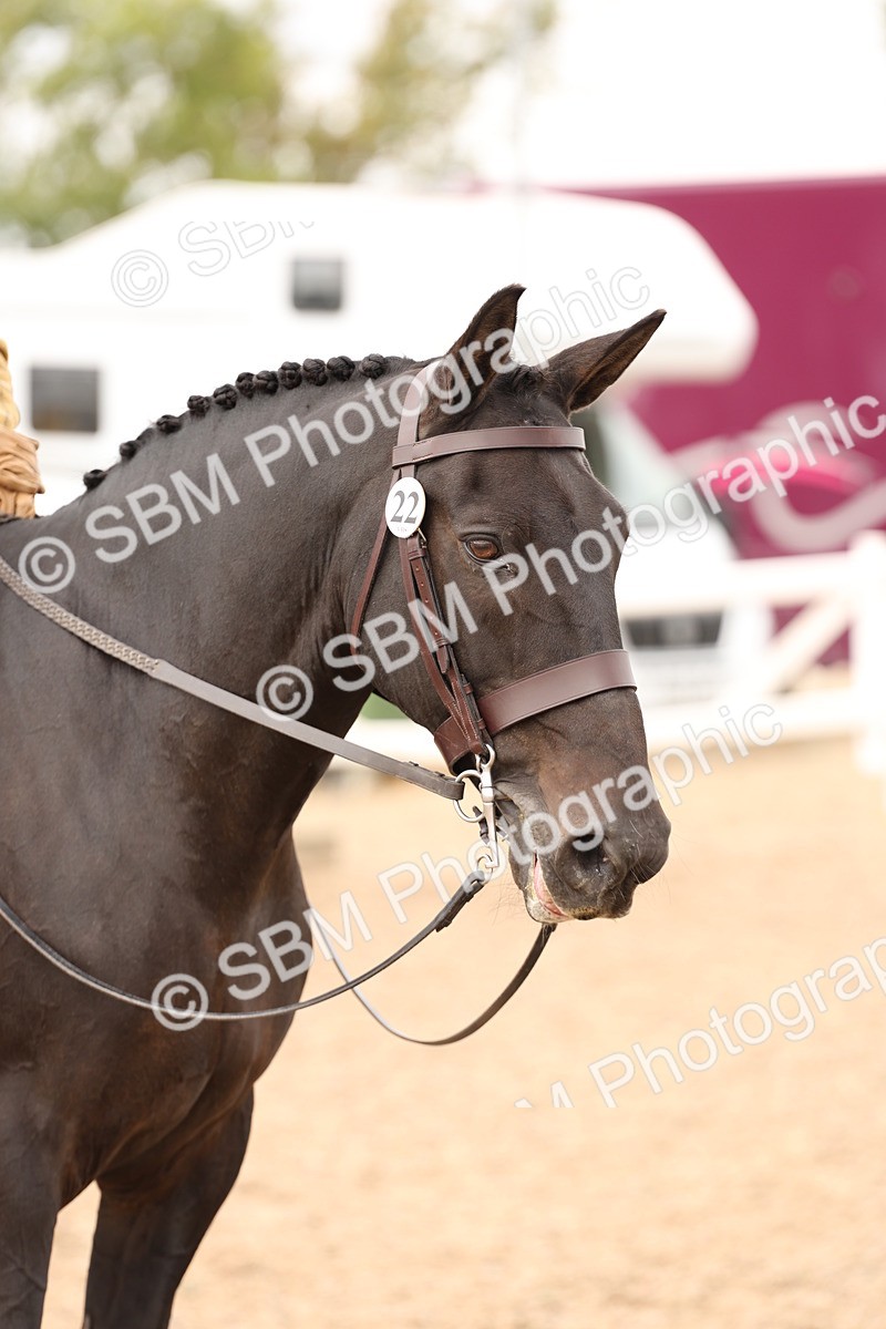 SBM_16519 - Class 212 - Ridden Hunter - Small
