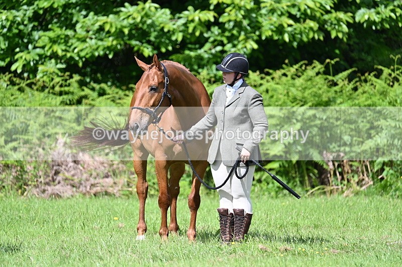 WJ7_1064 - Class 11 Condition & Turnout