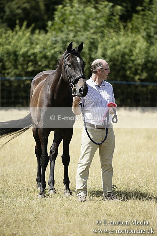 _EP59147 - Roving Camera BVRC Show 2018