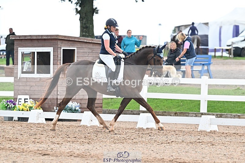 250907-134915-08586 - 006-Verity.PerryVogue