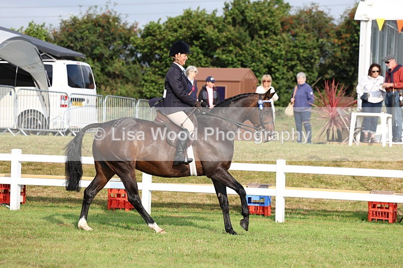 3E7A7708 - Class 1: Rising Star Small Hack/Riding Horses