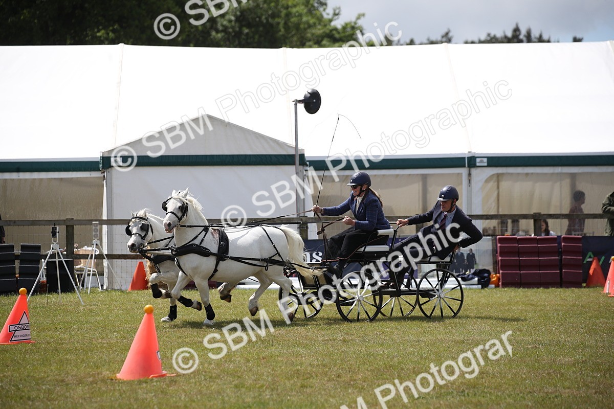 SBM_15383 - Class 90 - Scurry 122cm and Under