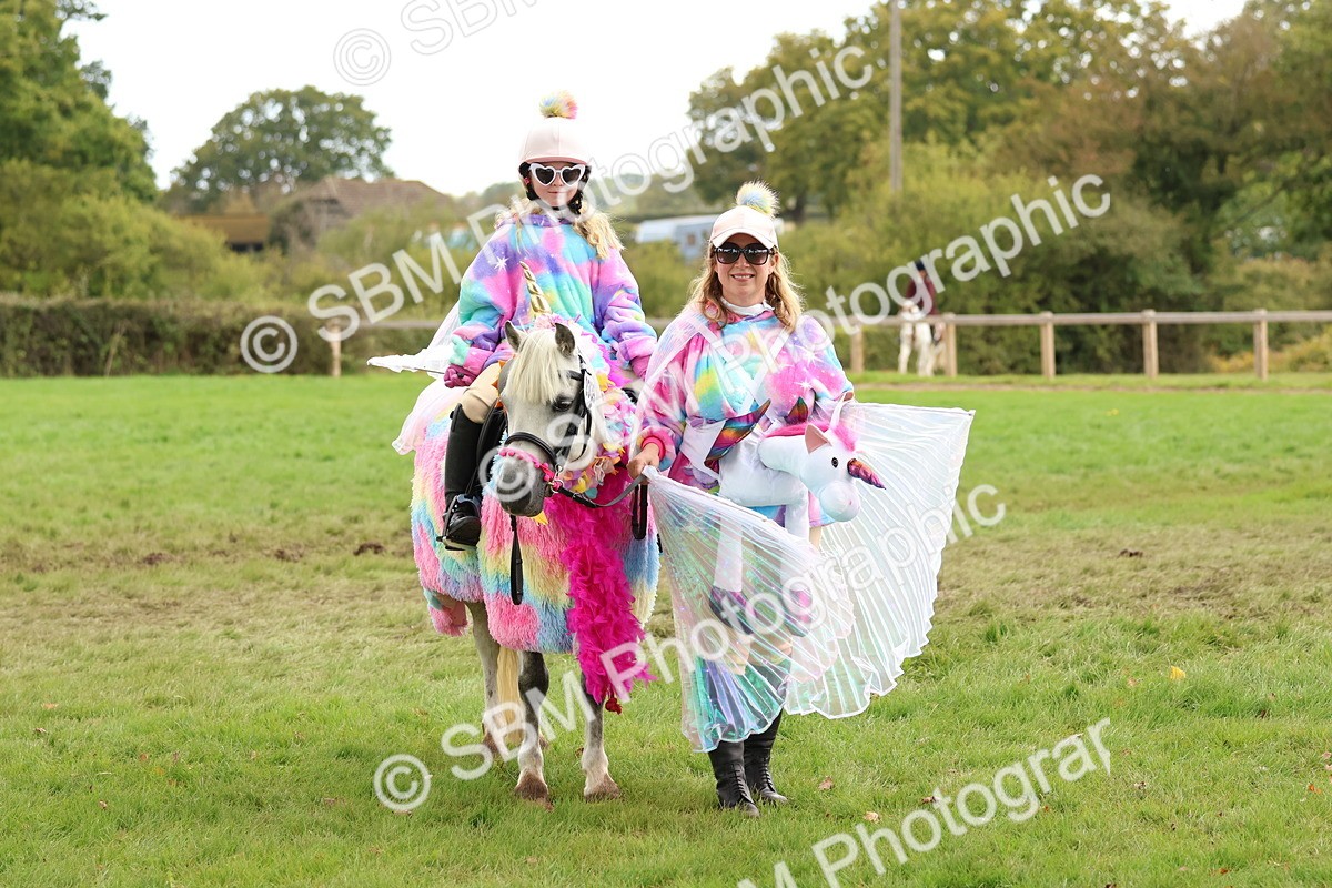 SBM_62236 - S37b - Best Unicorn