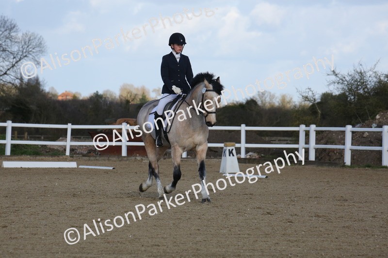 20260314-5185 - DR6 - Novice 2