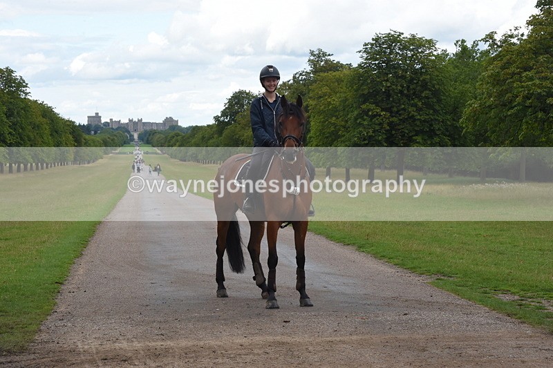 TT3_0415 - Time at Crossing 14:53 to 1526