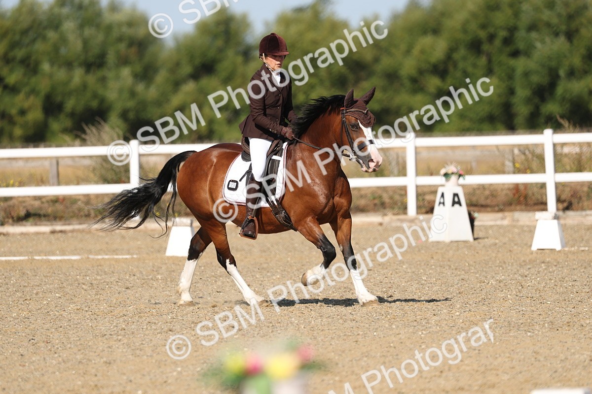 SBM_012789 - Class 1 - P5 Bronze 9.00.10.12