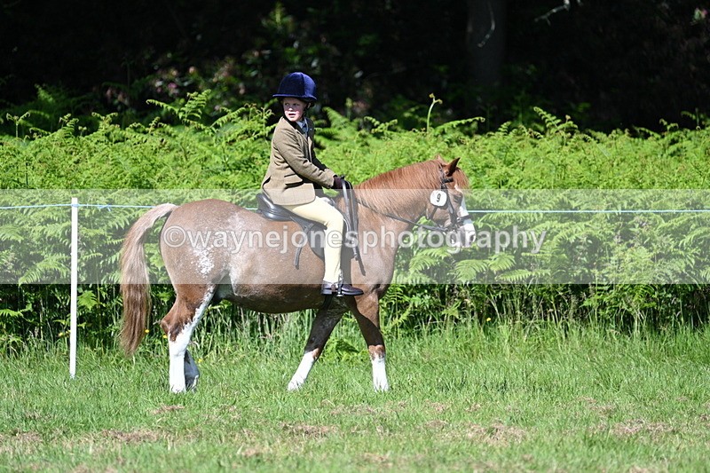 WJ7_0651 - Class 8 First Rally Pony