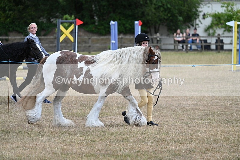 WJ7_8250 - Class 4 Prettiest Mare up to 14.2hh