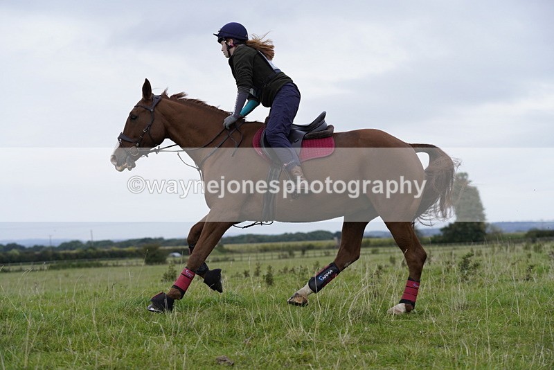 _DSC5417 - Time at Photographer 09:16 to 09:37
