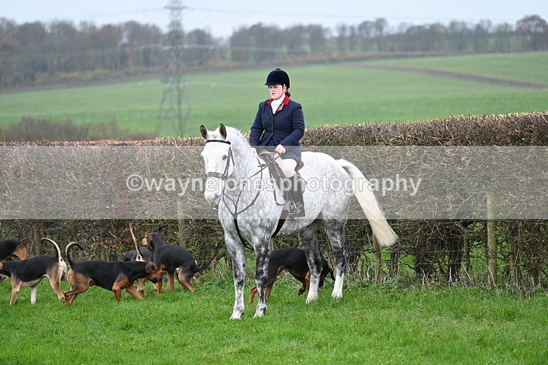 WJ7_8829 - Meet Staff & Hounds