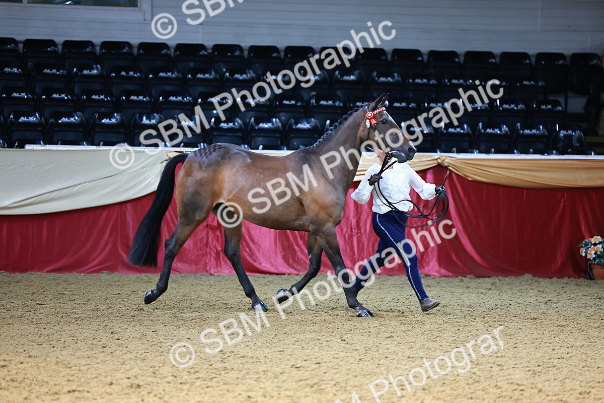 SBM_22196 - Class 902 - Supreme Final - IH Diamond