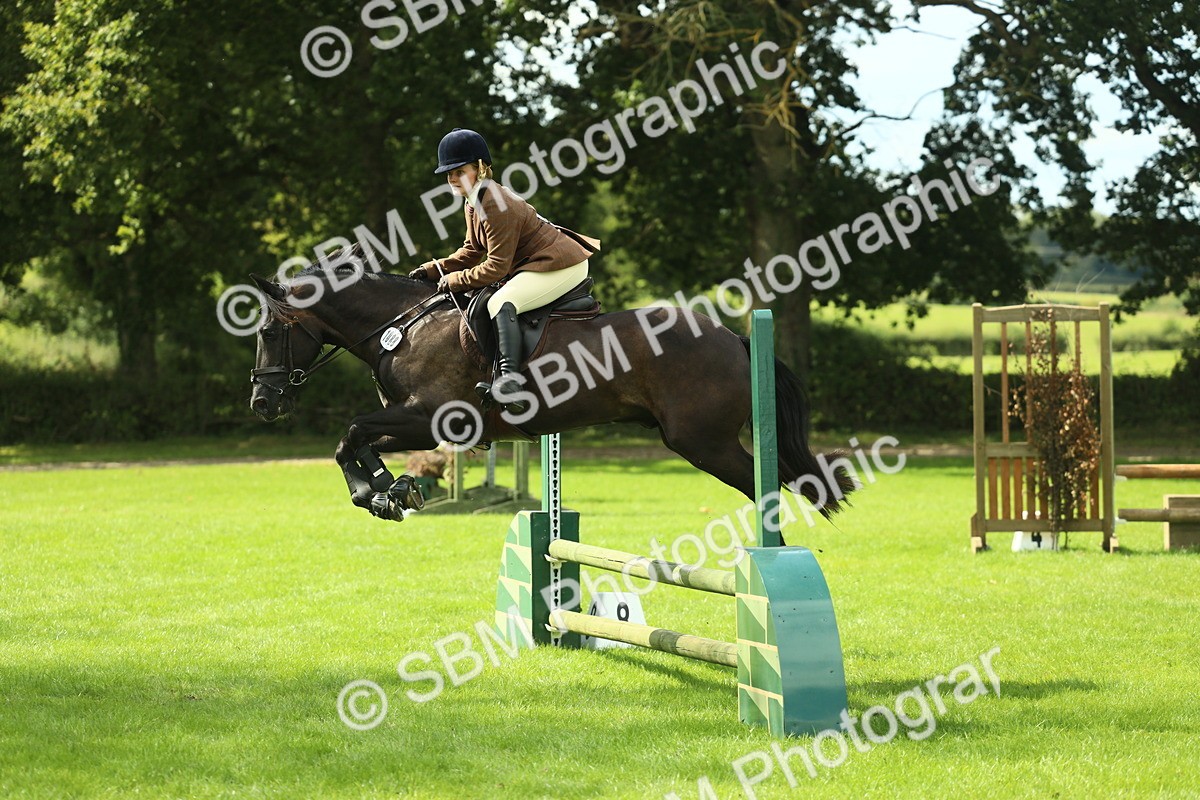 SBM_42879 - S30 - M&M Working hunter Pony