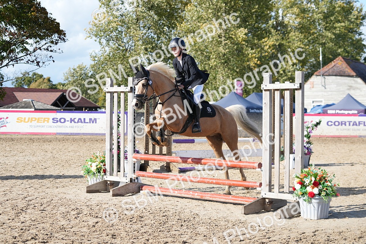 SBM_49260 - J8 - Junior Pony 65cm Championship