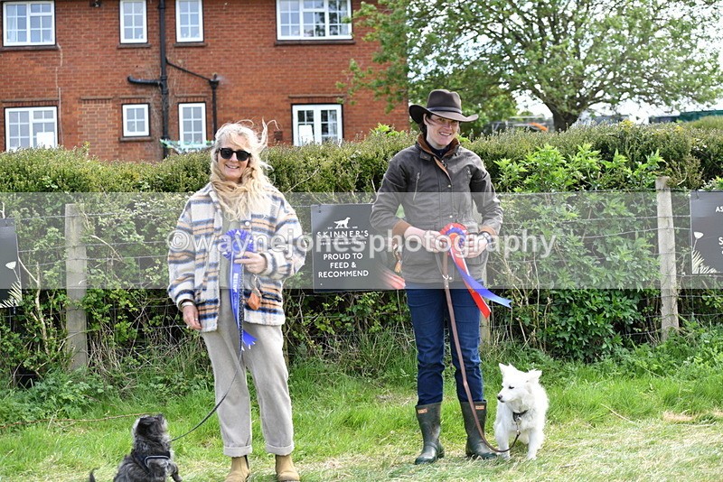 WJ5_0837 - Best in Show Championship