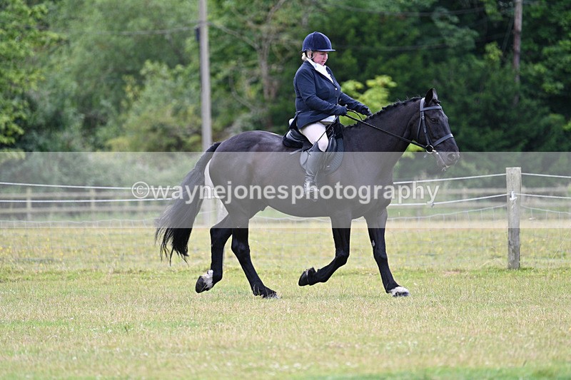 WJ7_9068 - Class 8 Ridden Veterans