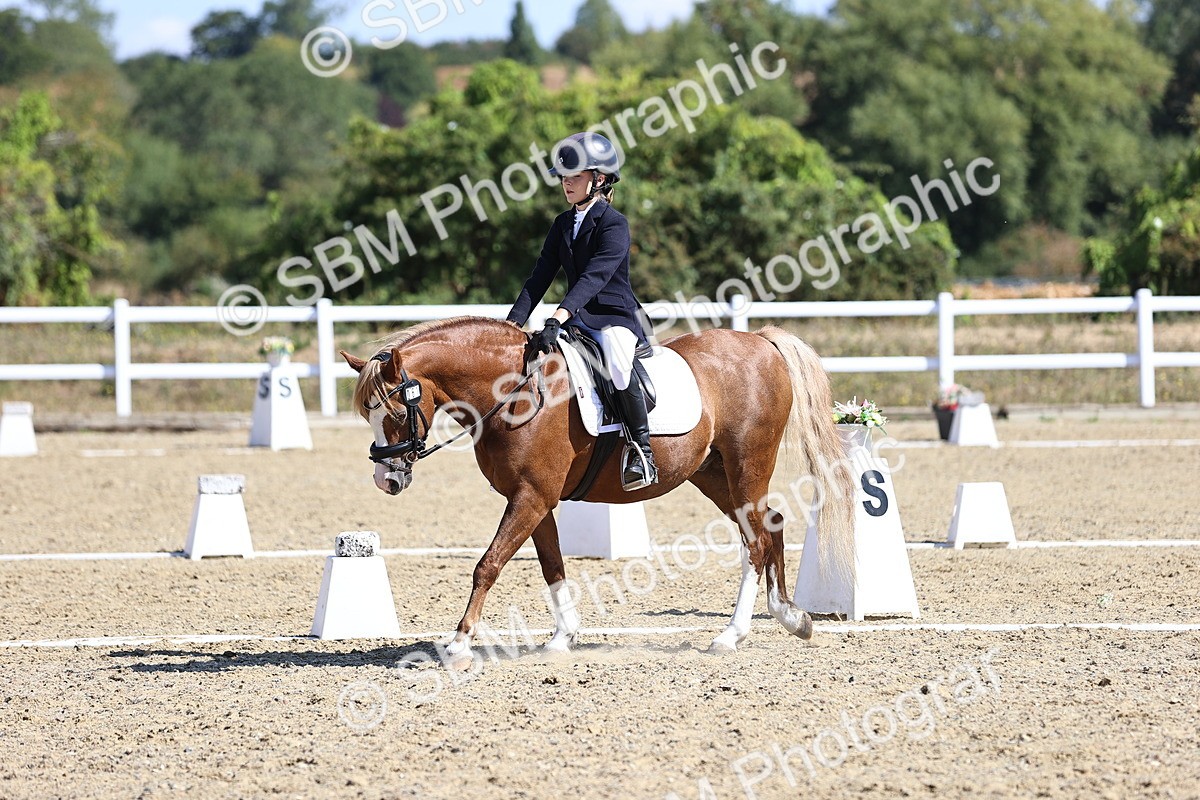 SBM_013841 - Class 2 - P5 Silver 11.20.12.23