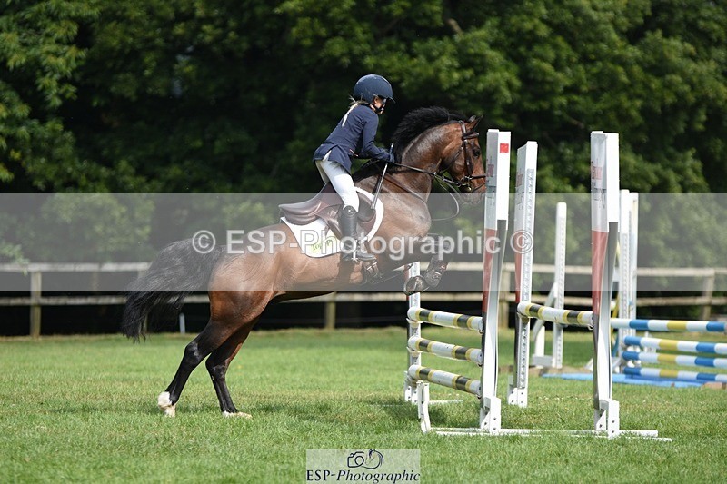 230617-100242-01756 - Cls 15 British Novice & 80cm Open