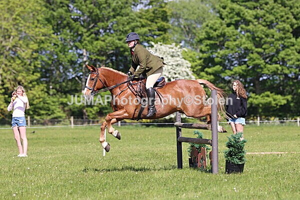 IMG_4884 - Working Hunter