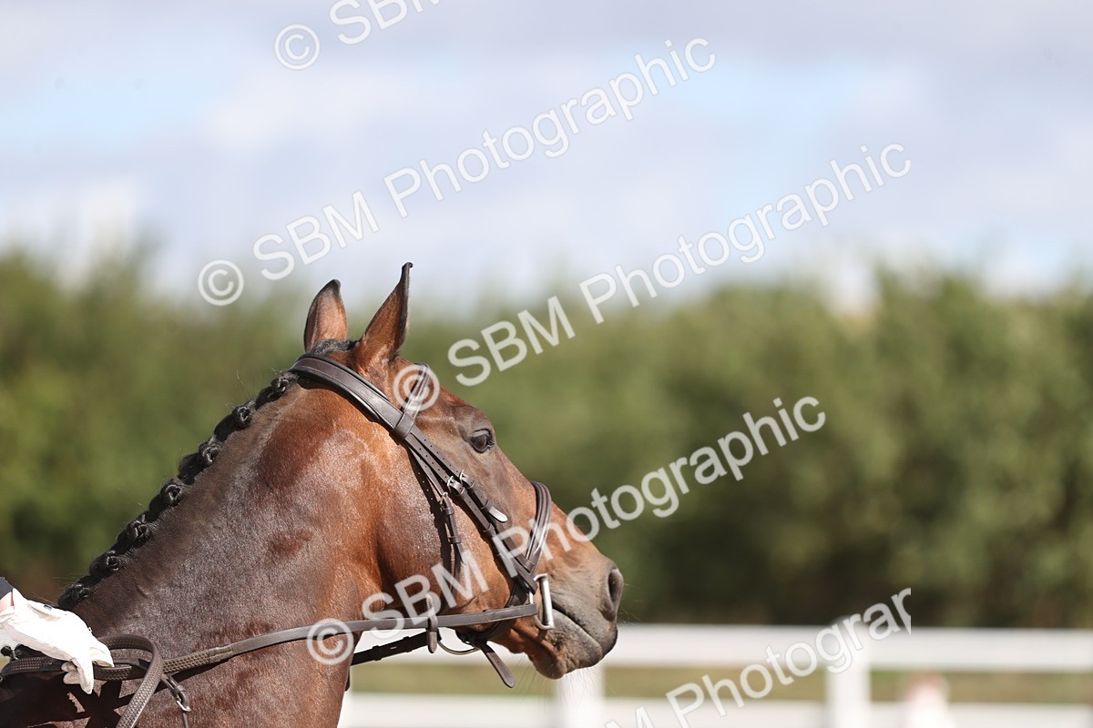 SBM_001317 - Class 2 - Intro 4 Champs - 10.56-11.44
