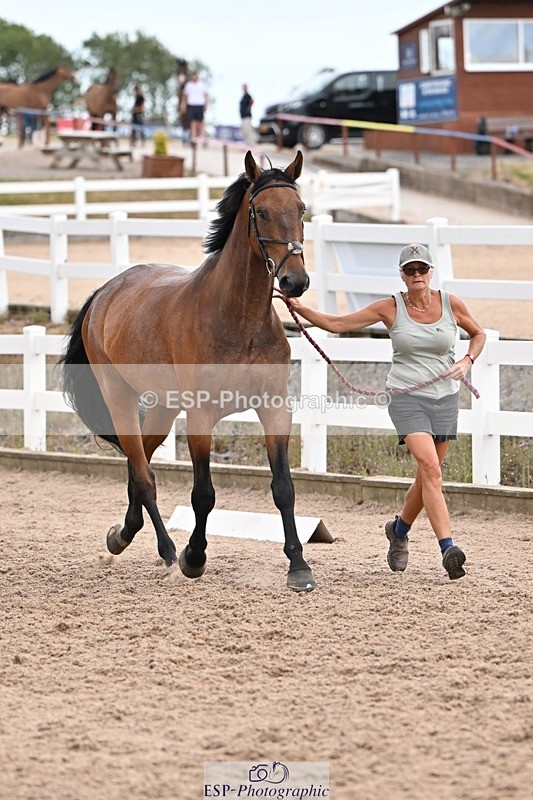 250716-145926-01589 - Trot Up 2.30 to 3.30