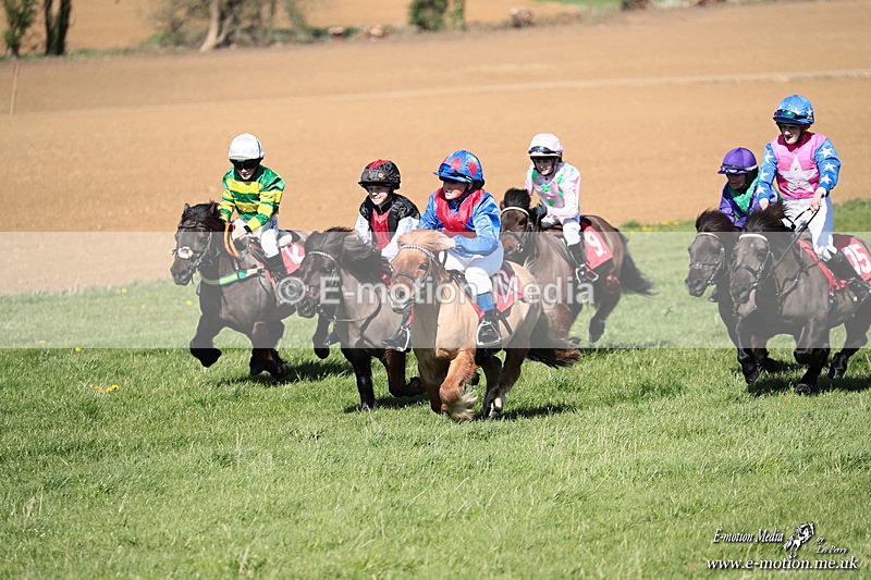 Shet 060426 275 - Shetland Pony Racing Paxford Races Easter Mon 06/04/26