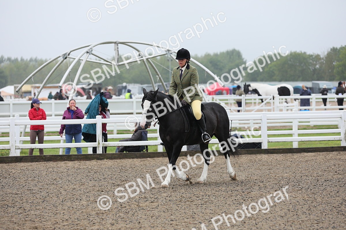 SBM_20069 - Class 802 - Ridden Groom - Helpers class