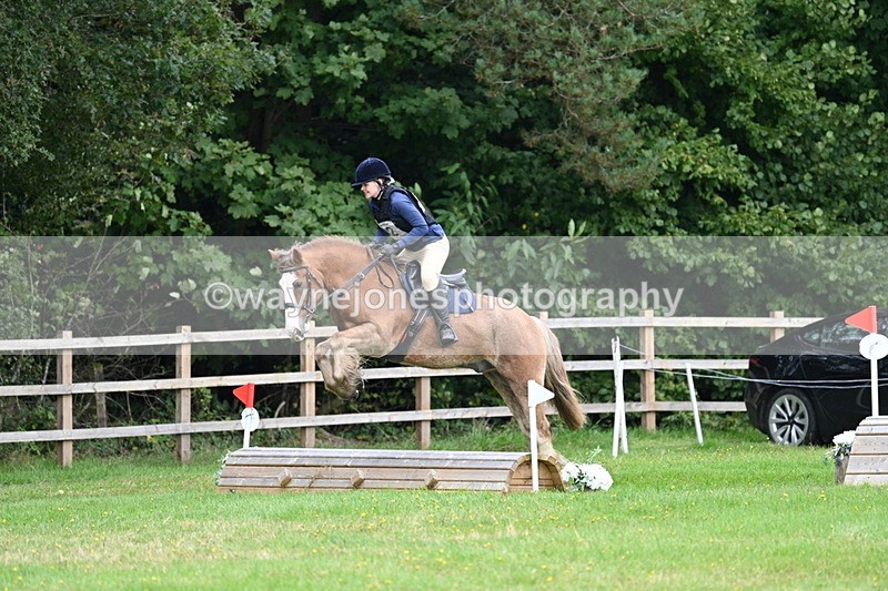 WJ7_7693 - 40cm Time 10:49 to 11:18