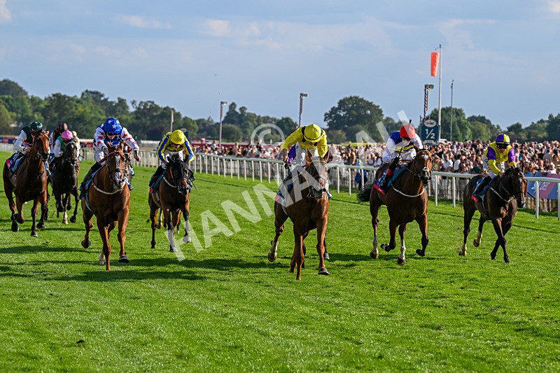 220826-Race 7-Raammee-1860 - Race 7 17.20pm Sky Bet Dav Reid Finale Handicap