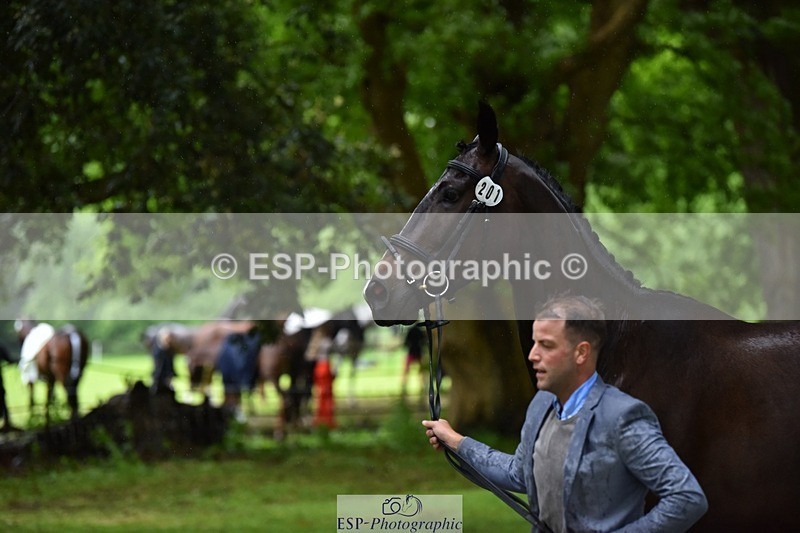 240522-162100-00852 - 201-PRIMITIVE_FUNTIME-Roberto_Scalisi