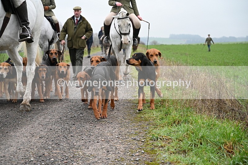 WJ7_9764 - Walk out..