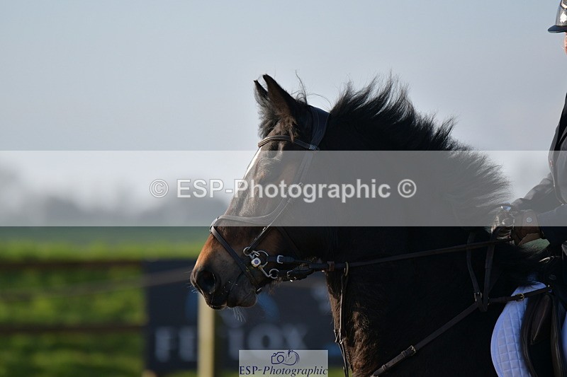 240211A-092914-01721 - Club and Schools 60cm