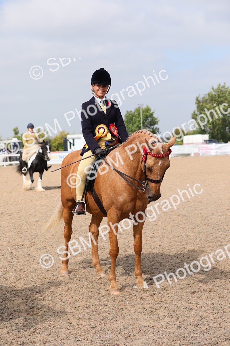 SBM_12859 - Class 307 Ridden Coloured Pony