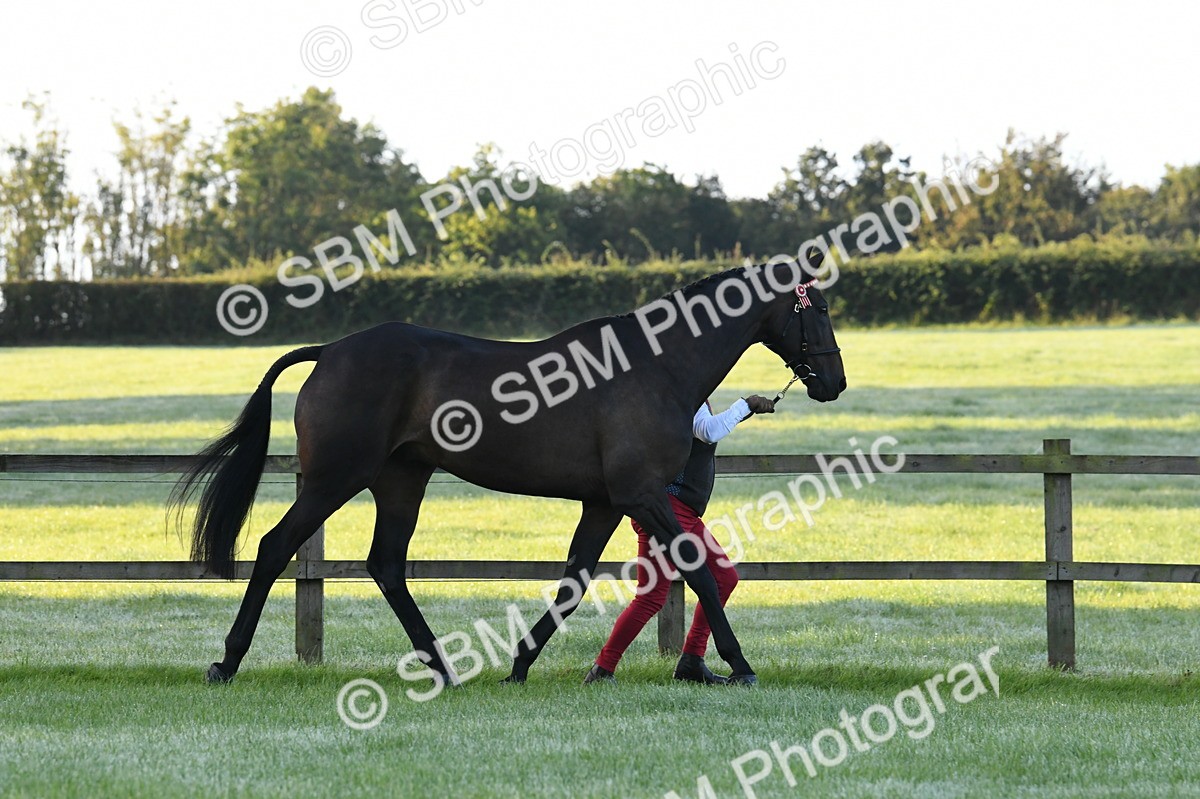 SBM_32505 - S15 - Condition & Turnout In Hand