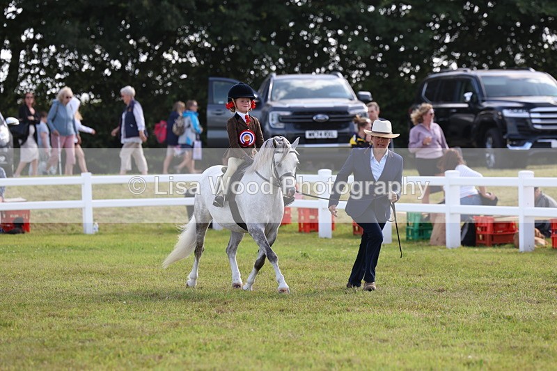 3E7A3935 - Supreme Championship