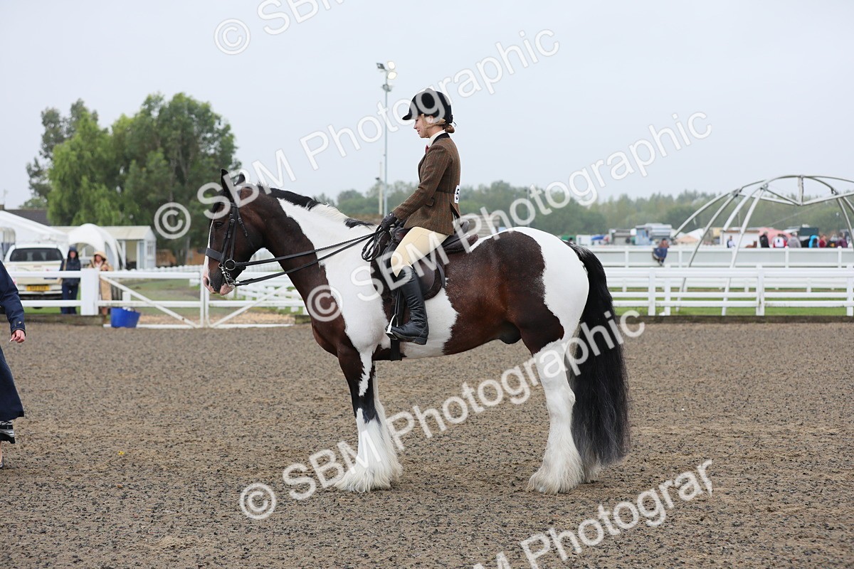 SBM_19919 - Class 801 - Ridden Veteran