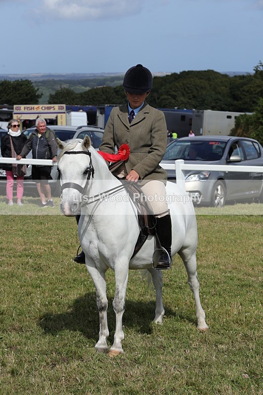 1X9A5820 - Class 40: NPS Welsh A & B