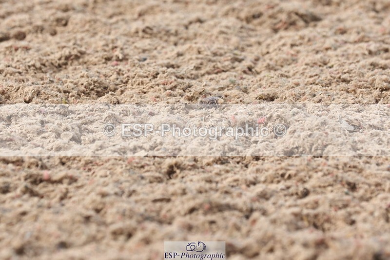 240622A-172113-14856 - Cls 38 BD FEI PSG