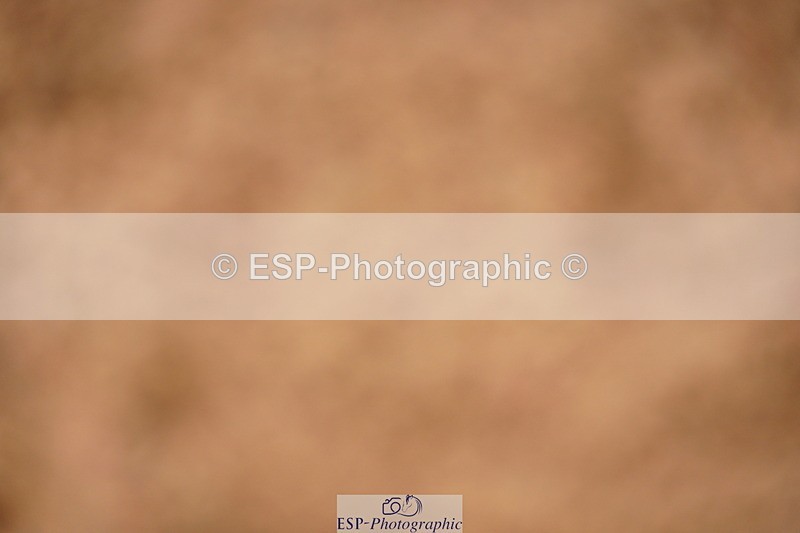 240526A-133626-08390 - Cls 27 Chard Equ May Grand Prix