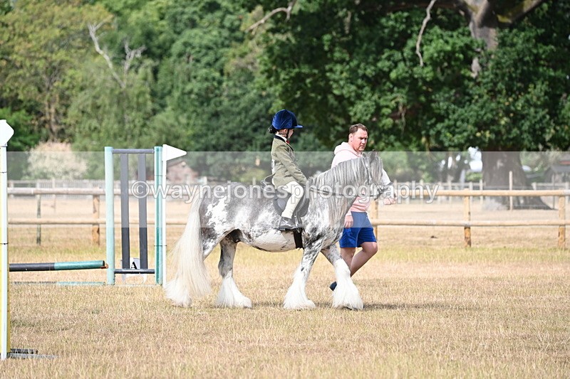 WJ6_7562 - Class 9 Tack and Turnout