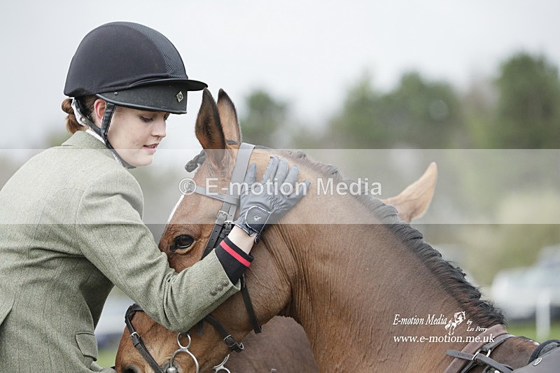 PtP 260323 0645 - New Forest Hounds Point-to-Point Larkhill 26/03/23