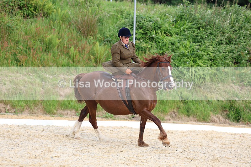 3E7A2085 - Class 3: Prelim 2 2024 Section A