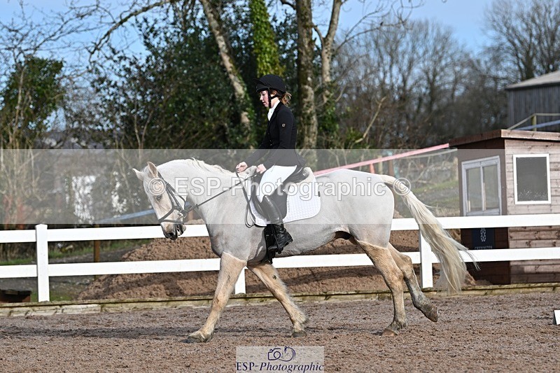 250125-111438-00295 - Dressage - CT Class 5 BE95 (90cm)