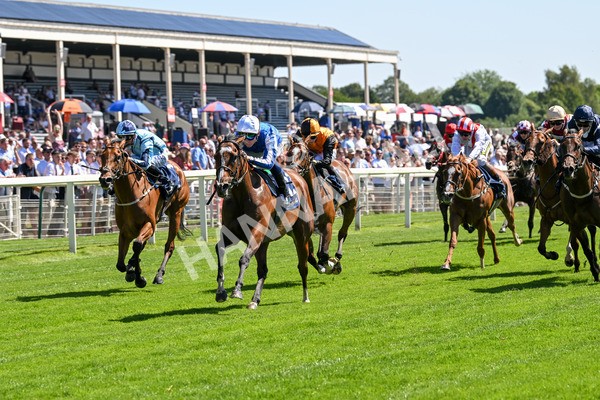 110725-Race 2-Sayidah Dariyan-4106 - Race 2 2.45pm William Hill Summer Stakes