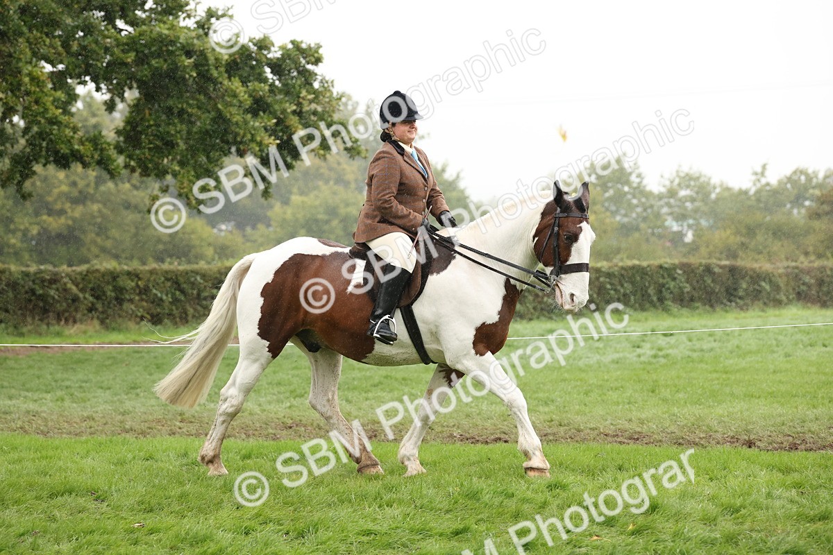 SBM_69796 - S69 - Show Cob Ridden