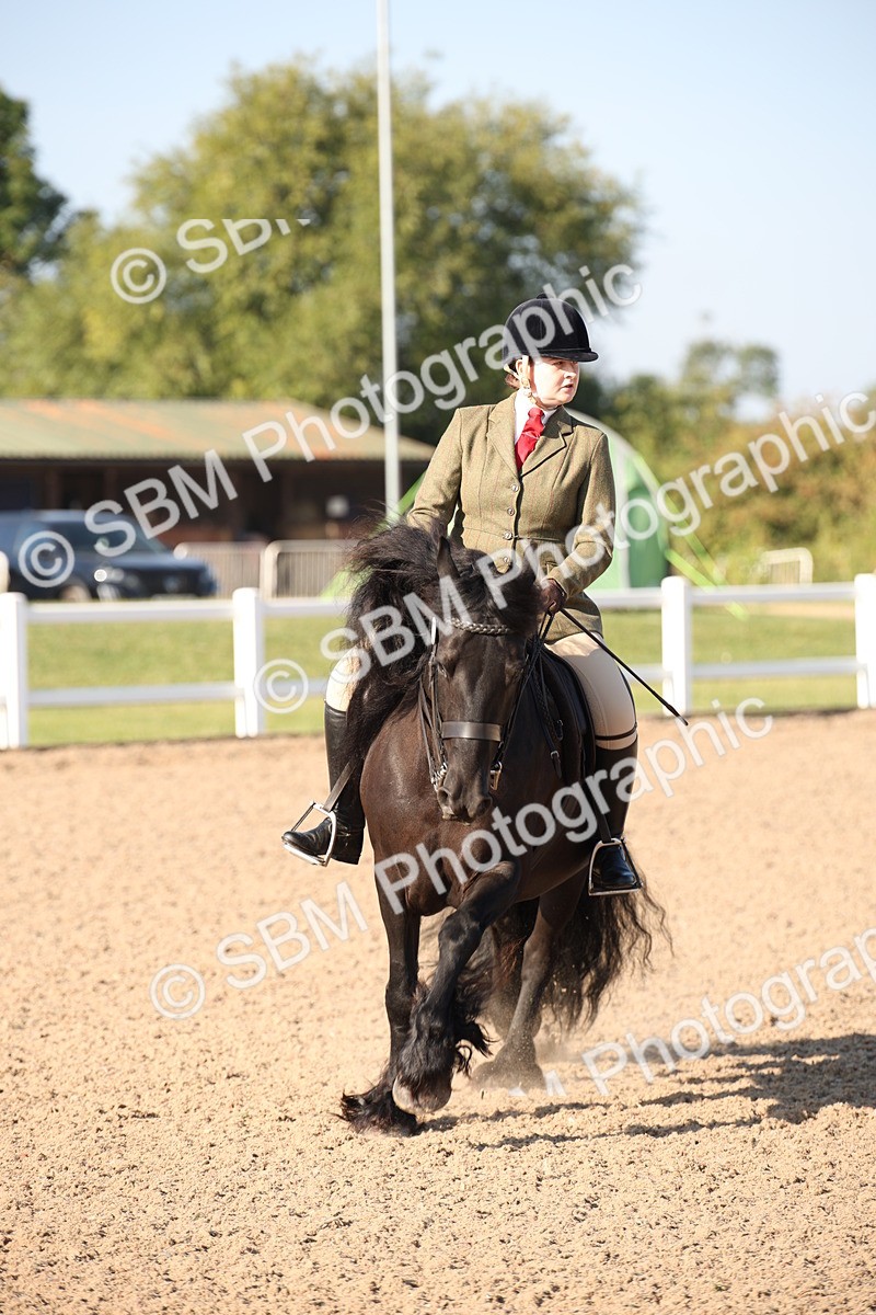 SBM_00687 - Class 14 Ridden M&M Wildcard