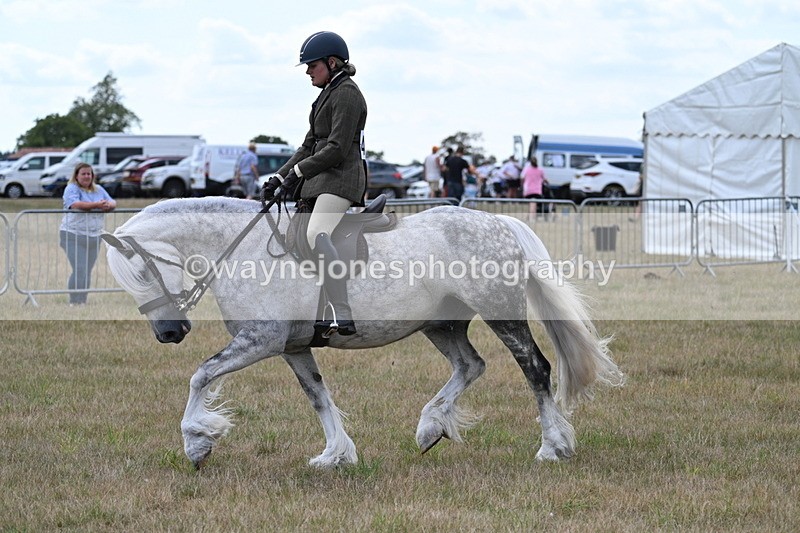 WJ7_5279 - Class 12 Ridden Cob